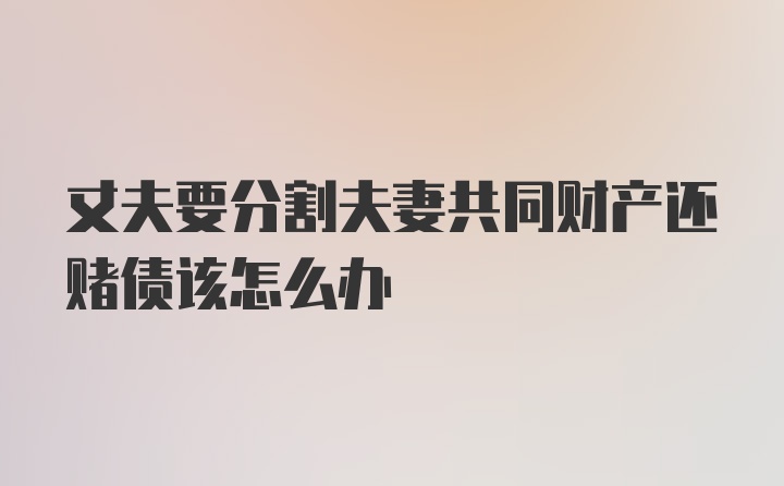 丈夫要分割夫妻共同财产还赌债该怎么办