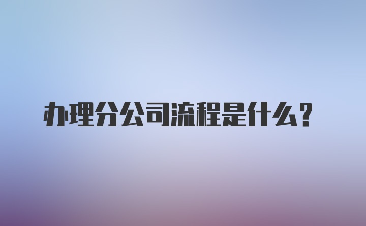 办理分公司流程是什么？