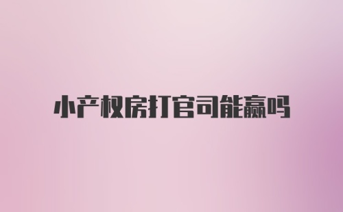 小产权房打官司能赢吗