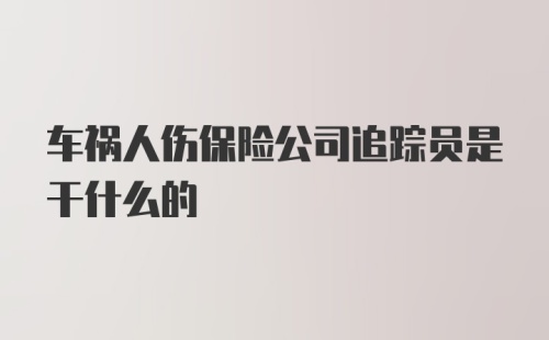 车祸人伤保险公司追踪员是干什么的