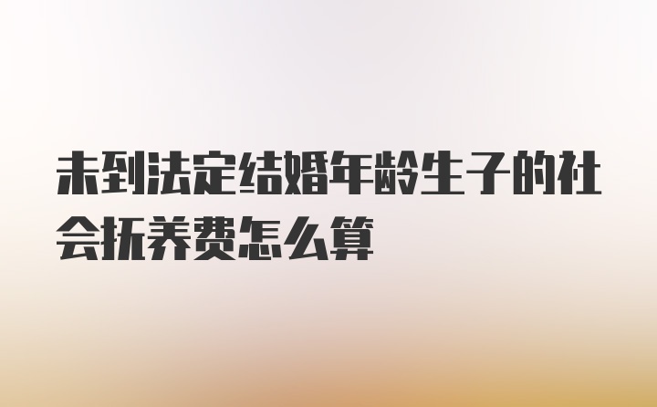 未到法定结婚年龄生子的社会抚养费怎么算