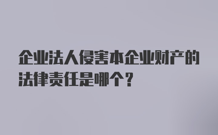 企业法人侵害本企业财产的法律责任是哪个？