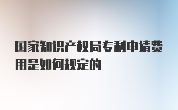 国家知识产权局专利申请费用是如何规定的