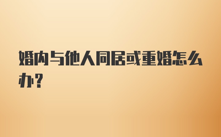 婚内与他人同居或重婚怎么办?