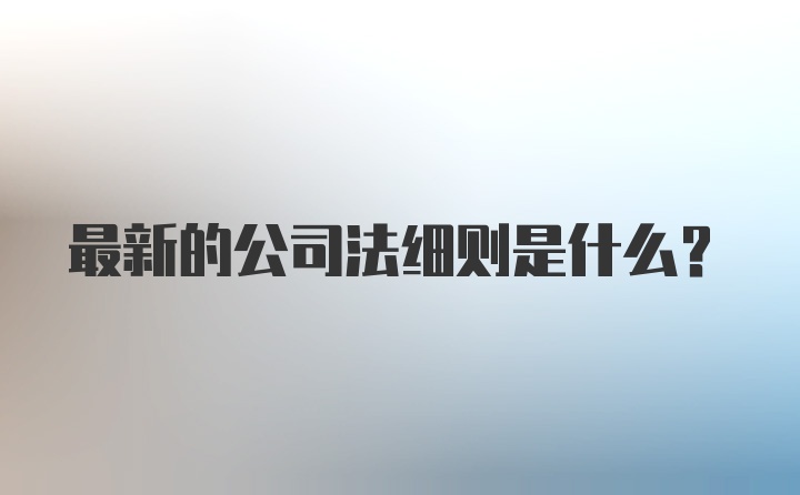 最新的公司法细则是什么？