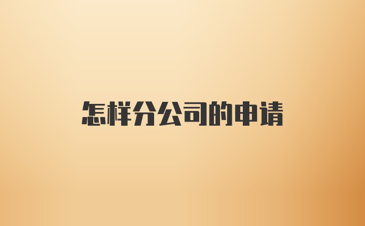 怎样分公司的申请