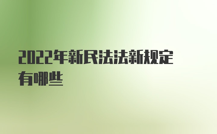 2022年新民法法新规定有哪些