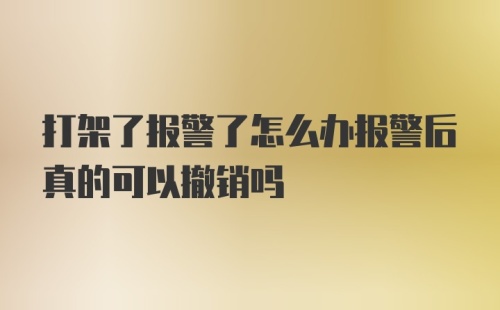 打架了报警了怎么办报警后真的可以撤销吗