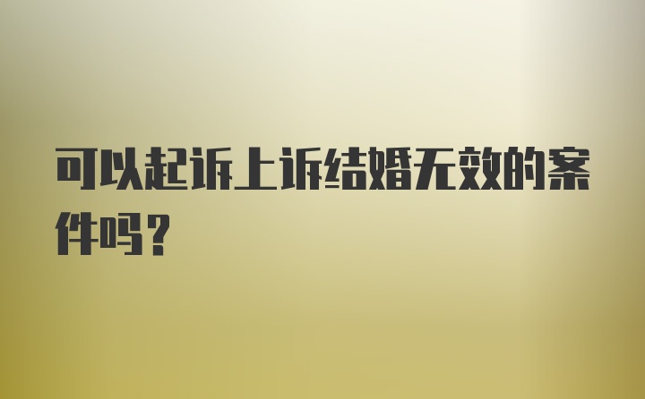 可以起诉上诉结婚无效的案件吗？