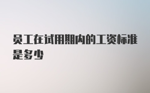 员工在试用期内的工资标准是多少