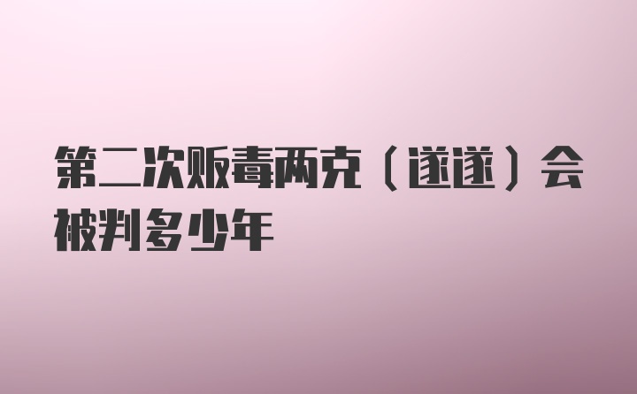 第二次贩毒两克（遂遂）会被判多少年