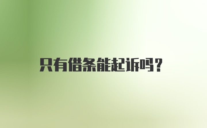 只有借条能起诉吗？