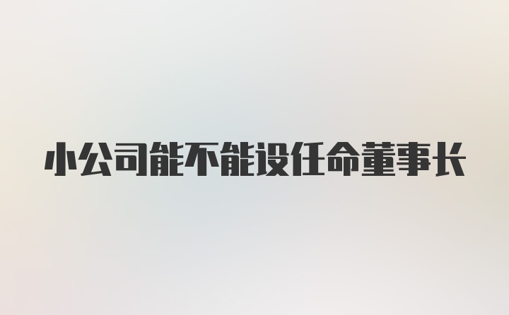 小公司能不能设任命董事长