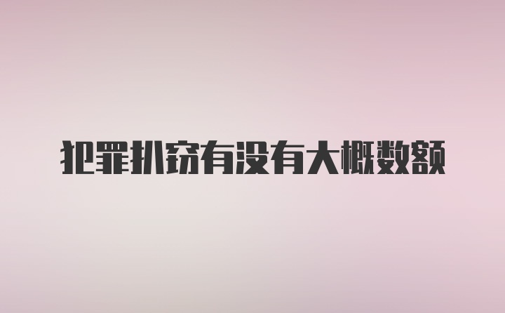 犯罪扒窃有没有大概数额