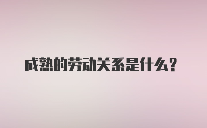 成熟的劳动关系是什么？