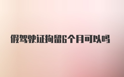 假驾驶证拘留6个月可以吗