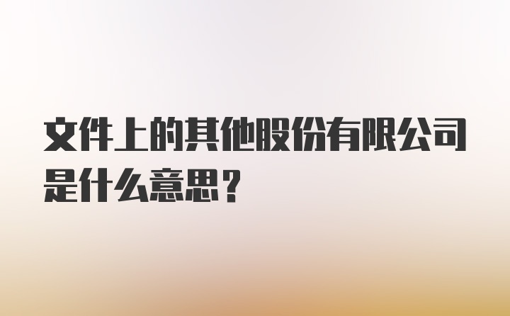 文件上的其他股份有限公司是什么意思？