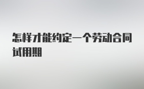 怎样才能约定一个劳动合同试用期