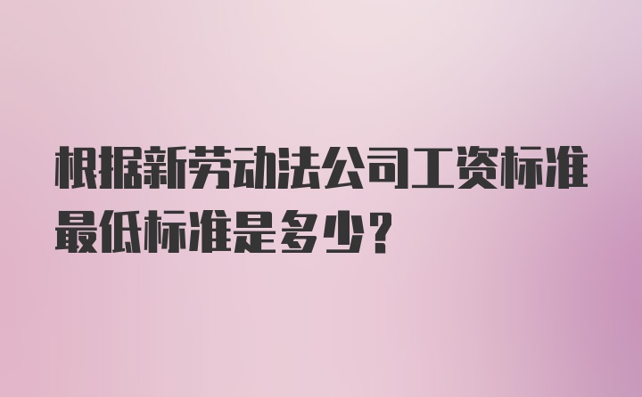 根据新劳动法公司工资标准最低标准是多少？