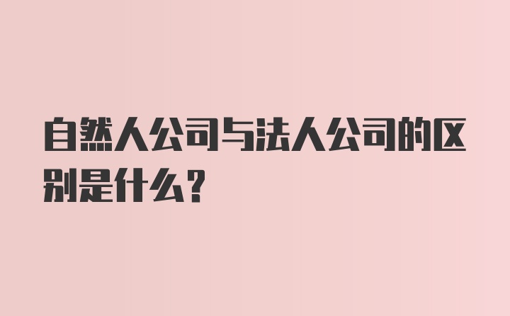 自然人公司与法人公司的区别是什么？