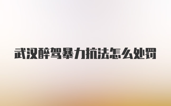 武汉醉驾暴力抗法怎么处罚