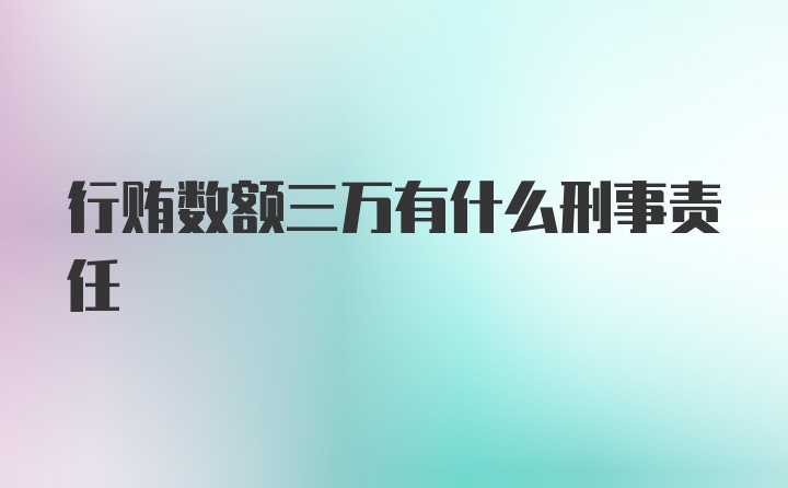 行贿数额三万有什么刑事责任