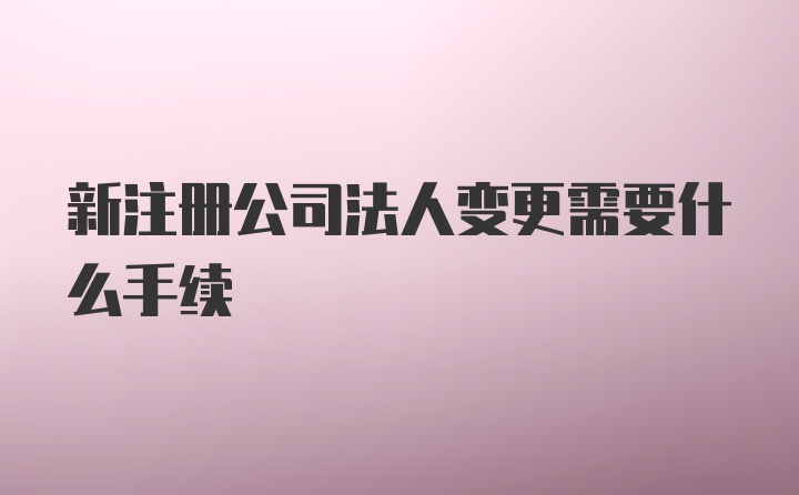 新注册公司法人变更需要什么手续