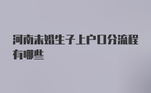 河南未婚生子上户口分流程有哪些