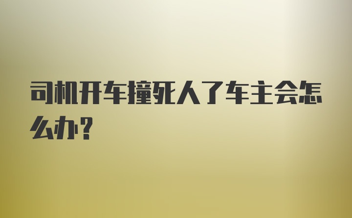 司机开车撞死人了车主会怎么办？