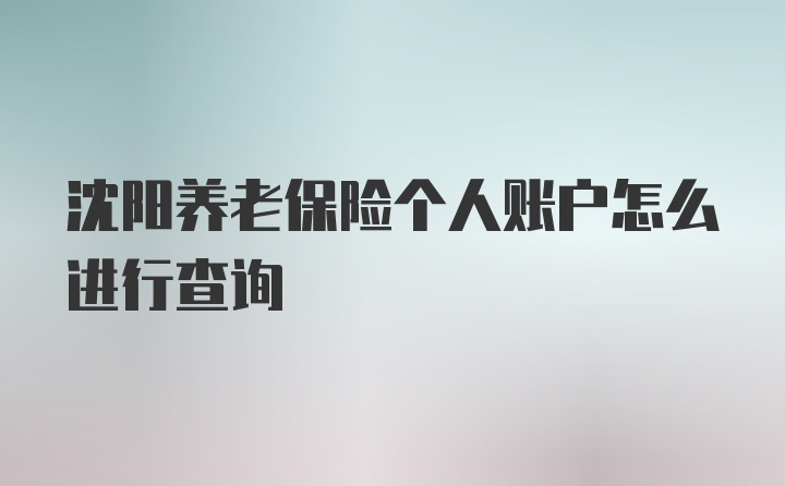 沈阳养老保险个人账户怎么进行查询