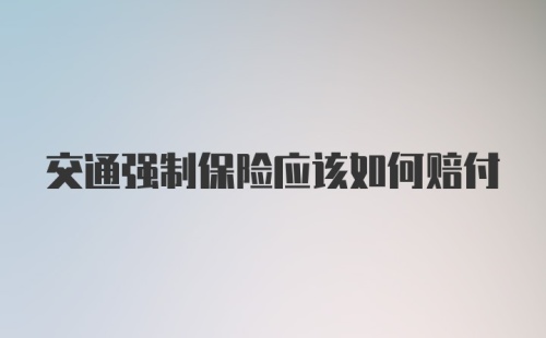 交通强制保险应该如何赔付