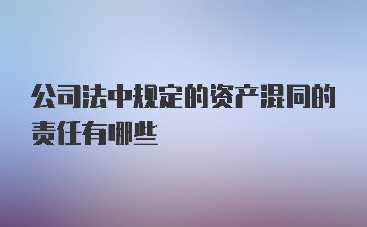 公司法中规定的资产混同的责任有哪些