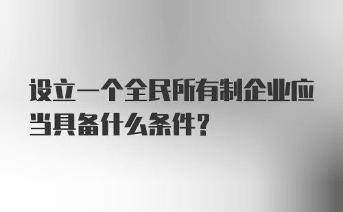 设立一个全民所有制企业应当具备什么条件？