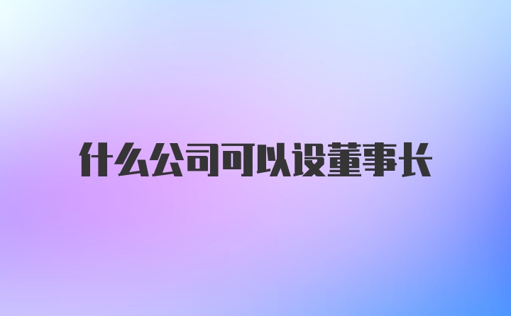 什么公司可以设董事长