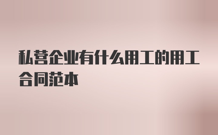 私营企业有什么用工的用工合同范本