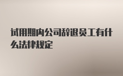 试用期内公司辞退员工有什么法律规定