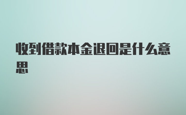 收到借款本金退回是什么意思