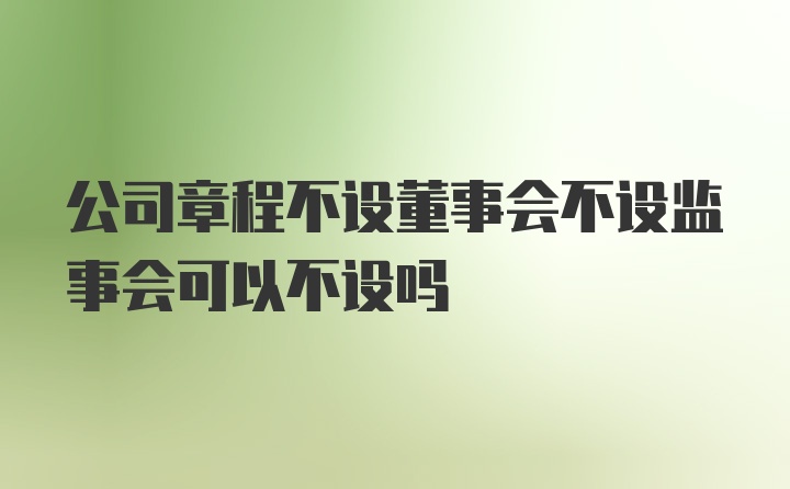 公司章程不设董事会不设监事会可以不设吗