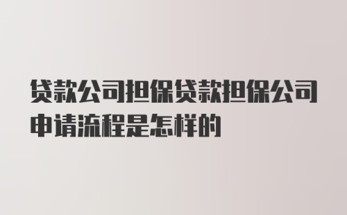 贷款公司担保贷款担保公司申请流程是怎样的