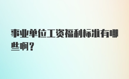 事业单位工资福利标准有哪些啊？