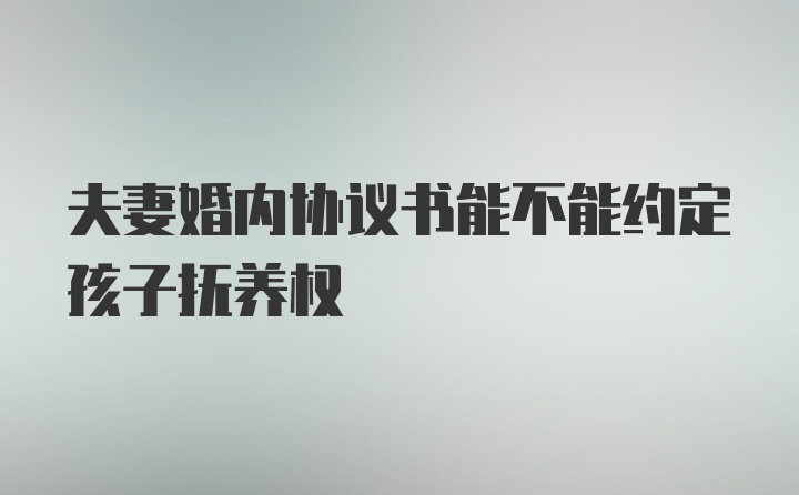 夫妻婚内协议书能不能约定孩子抚养权