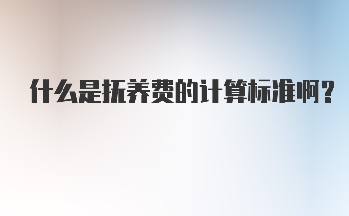 什么是抚养费的计算标准啊？