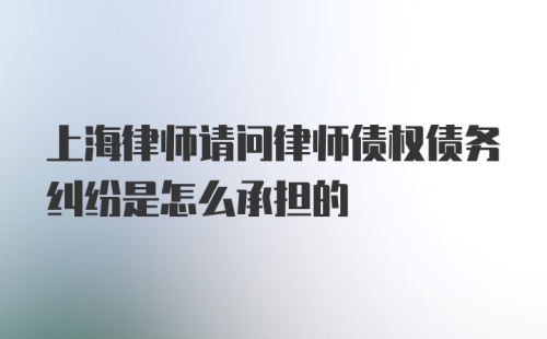 上海律师请问律师债权债务纠纷是怎么承担的