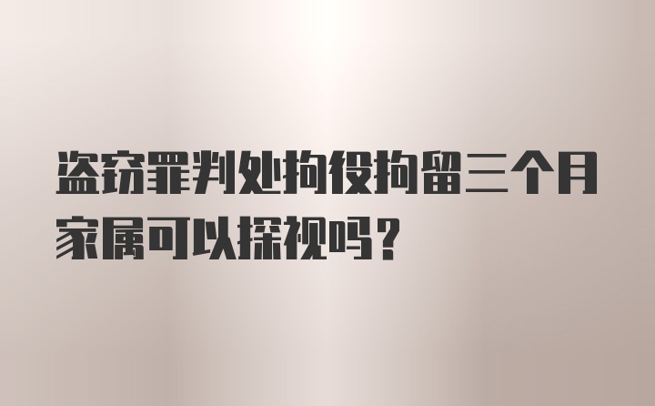 盗窃罪判处拘役拘留三个月家属可以探视吗?