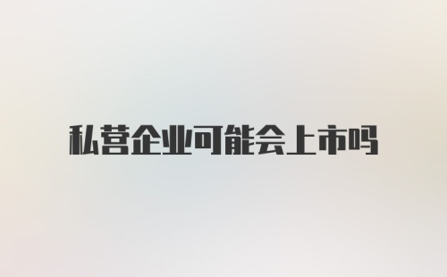 私营企业可能会上市吗