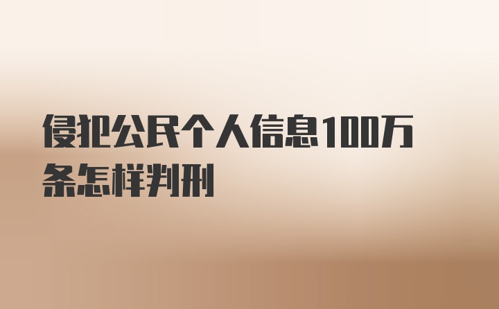 侵犯公民个人信息100万条怎样判刑