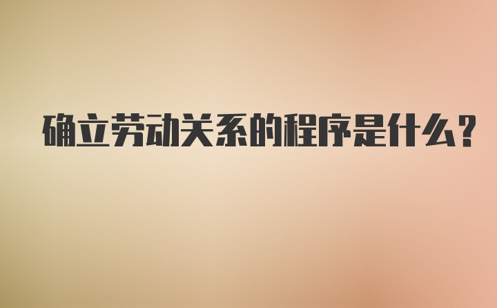 确立劳动关系的程序是什么？