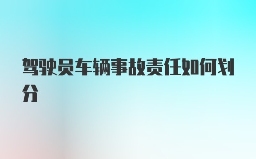 驾驶员车辆事故责任如何划分