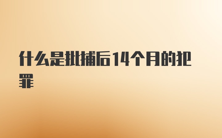 什么是批捕后14个月的犯罪