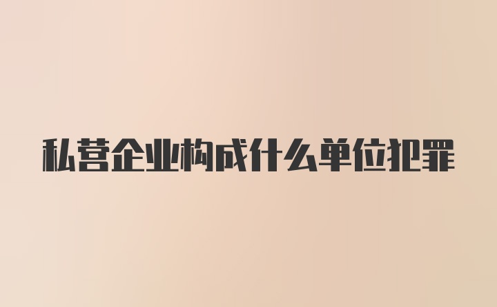 私营企业构成什么单位犯罪